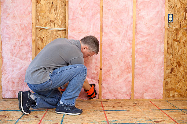 Best Eco-Friendly Insulation in Cleveland, TX